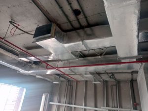 Home whatsapp image 2025 10 28 at 2.42.36 pm (1)