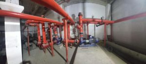 Home whatsapp image 2025 10 28 at 2.42.38 pm