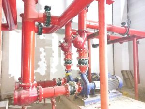 Home whatsapp image 2025 10 28 at 2.42.40 pm