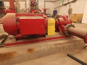 Home whatsapp image 2025 10 28 at 2.42.46 pm